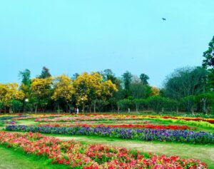 Read more about the article Nehru Park – Dedicated to Pandit Jawaharlal Nehru