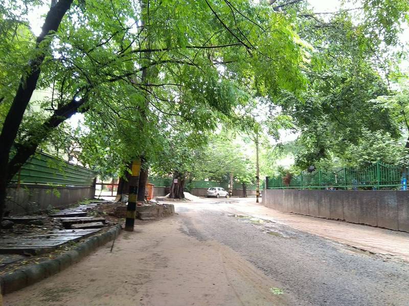 Read more about the article Satya Niketan Park