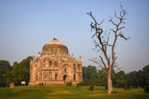 Read more about the article Shish Gumbad – A glass tomb  in Lodhi Gardens