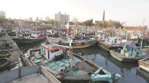 Read more about the article Sassoon Dock Fish Market was the first wet dock built in Bombay