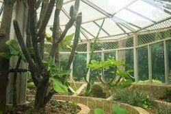 Botanical garden mumbai