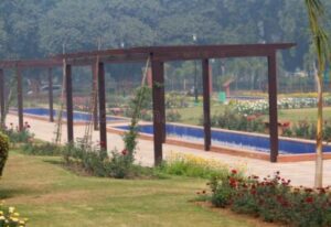 India Africa Friendship Rose Garden