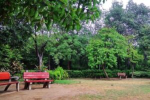 Satya Niketan Park Delhi