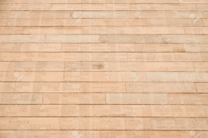 Names of the soldiers on India gate bricks