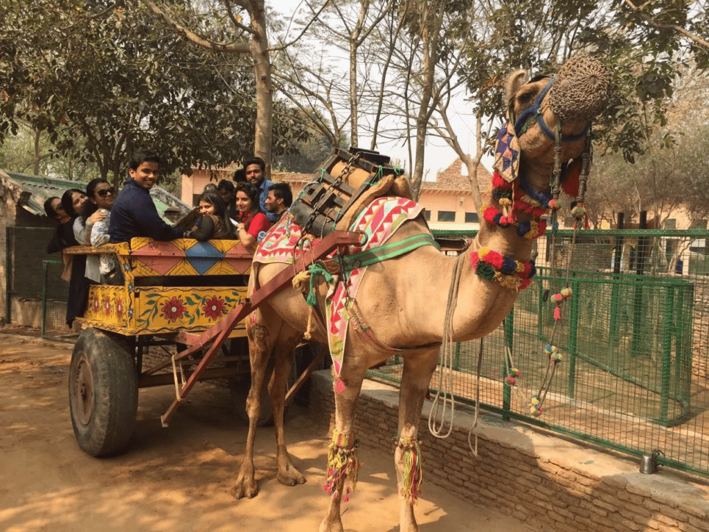Pratapgarh Farms
