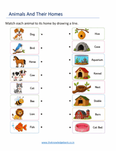 Animals and Their Homes Worksheets for Kindergarten