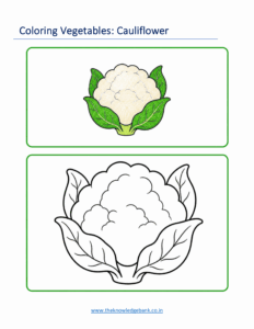 vegetable coloring pages for kindergarten
